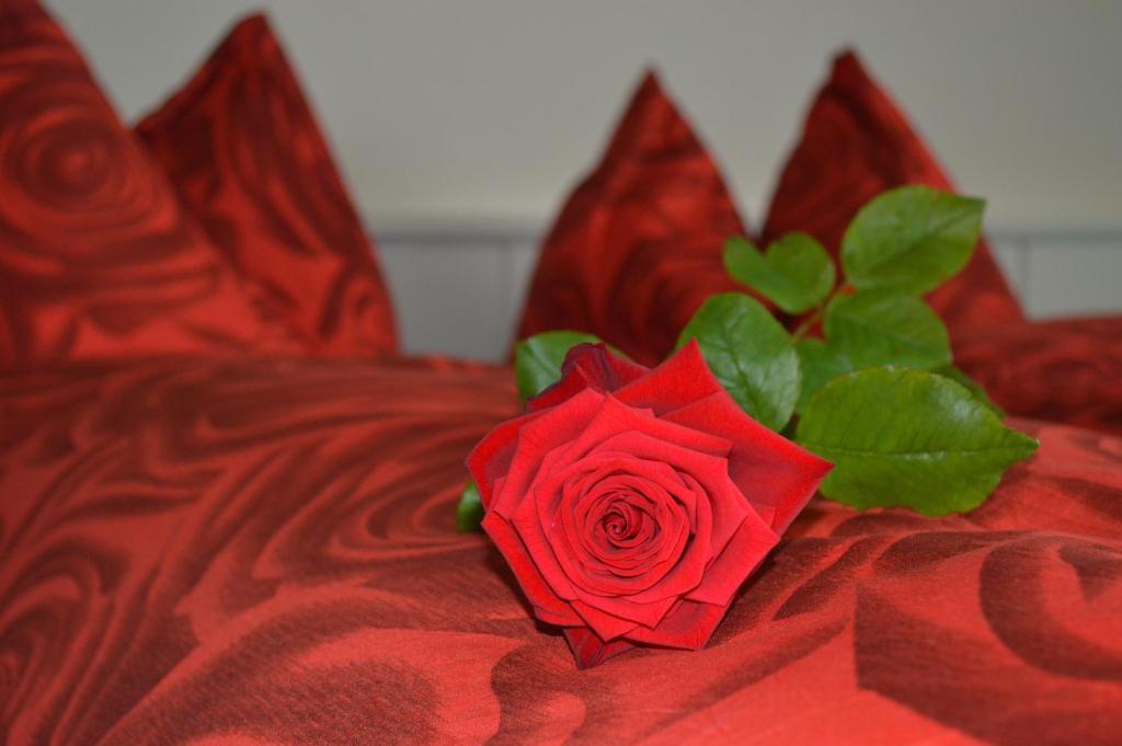 Hotel Zum Kreuz Aarau Pokój zdjęcie
